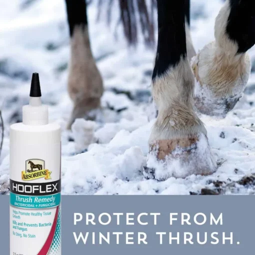 Hot Absorbine Hooflex® Equine Thrush Remedy