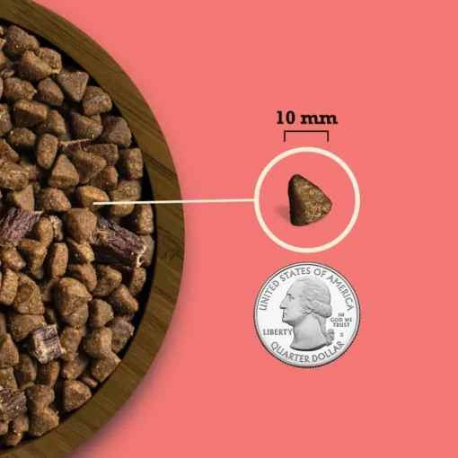 Hot Acana Butcher's Favorites Farm-Raised Beef & Liver Recipe Dry Dog Food