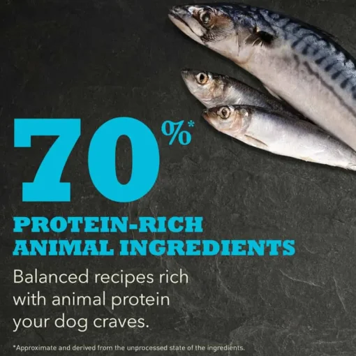Online Acana Highest Protein Wild Atlantic Grain Free Dry Dog Food