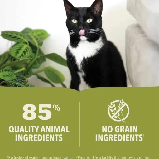 Hot Acana Premium Pate Chicken & Fish Recipe in Bone Broth Wet Cat Food