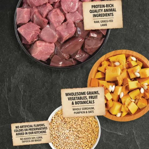 Discount Acana Wholesome Grains Limited Ingredient Lamb & Pumpkin Dry Dog Food