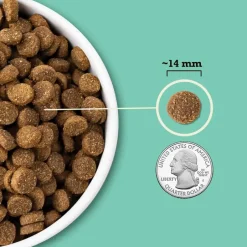 Discount Acana Wholesome Grains Limited Ingredient Lamb & Pumpkin Dry Dog Food