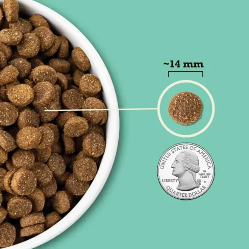 Discount Acana Wholesome Grains Limited Ingredient Lamb & Pumpkin Dry Dog Food