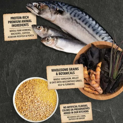Fashion Acana Wholesome Grains Sea to Stream Dry Dog Food