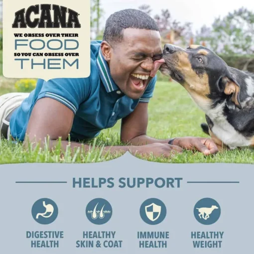 Fashion Acana Wholesome Grains Sea to Stream Dry Dog Food