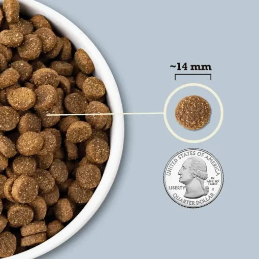 Fashion Acana Wholesome Grains Sea to Stream Dry Dog Food