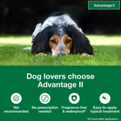 New Advantage II - Flea Prevention Topical for Dogs