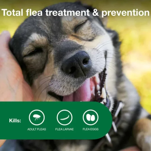 New Advantage II - Flea Prevention Topical for Dogs