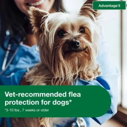 New Advantage II - Flea Prevention Topical for Dogs