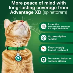 Online Advantage XD