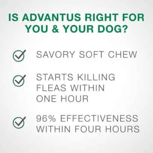 Sale Advantus Oral Flea Treatment Soft Chews for Dogs