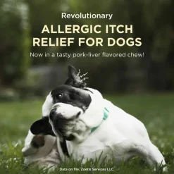 Sale Apoquel Chewable for Dogs