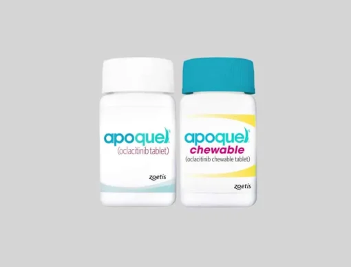 Sale Apoquel Chewable for Dogs
