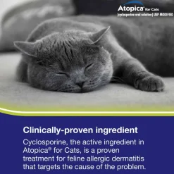 Clearance Atopica For Cats