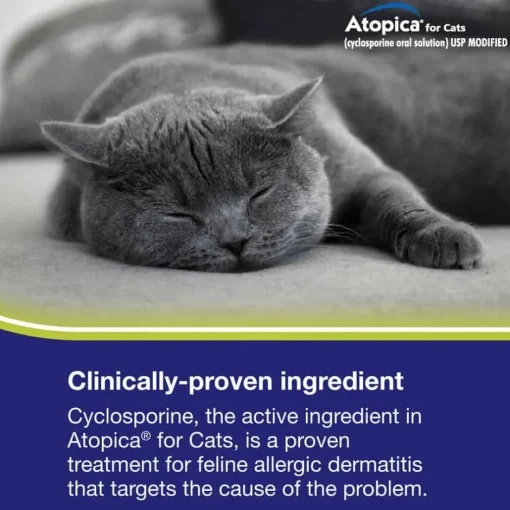 Clearance Atopica For Cats