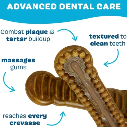 Sale BARK Bright Durable Dental Kit for Dogs
