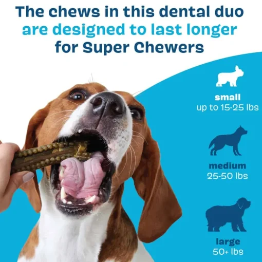 Sale BARK Bright Durable Dental Kit for Dogs