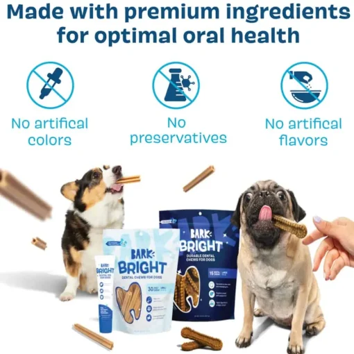Sale BARK Bright Durable Dental Kit for Dogs