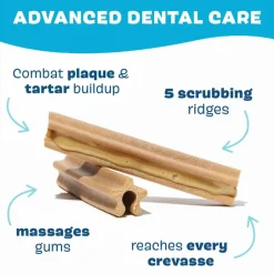 New BARK Bright Original Dental Kit for Dogs