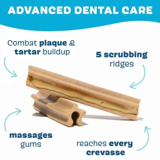 New BARK Bright Original Dental Kit for Dogs