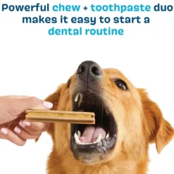 New BARK Bright Original Dental Kit for Dogs