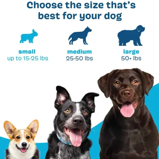 New BARK Bright Original Dental Kit for Dogs