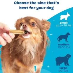 New BARK Bright Original Dental Chew Sticks for Dogs