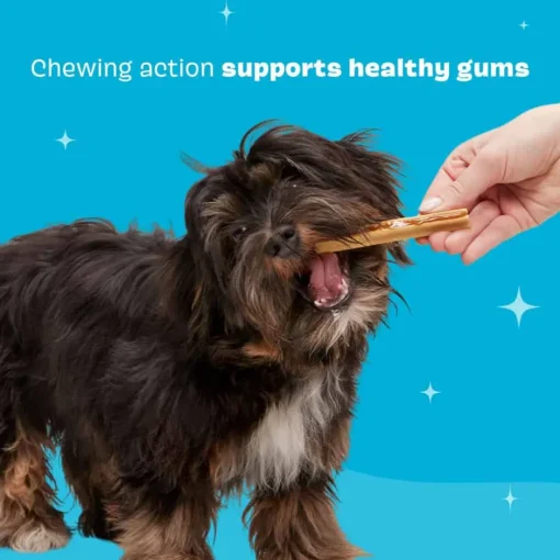 New BARK Bright Original Dental Chew Sticks for Dogs