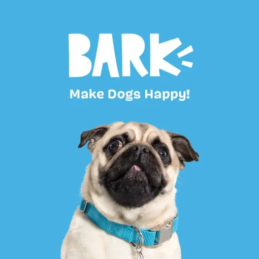 New BARK Bright Original Dental Chew Sticks for Dogs