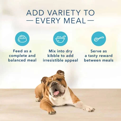 Hot Blue Buffalo BLUE Basics Blue Buffalo Basics Skin & Stomach Care Grain-Free Turkey and Potato Recipe Adult Wet Dog Food