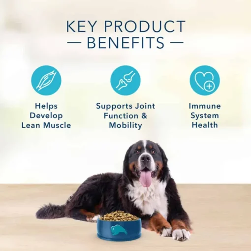 Outlet Blue Buffalo BLUE Basics Adult Skin & Stomach Care Grain-Free Lamb and Potato Recipe Large Breed Dry Dog Food