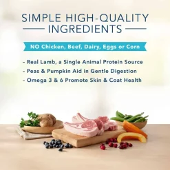 Outlet Blue Buffalo BLUE Basics Adult Skin & Stomach Care Grain-Free Lamb and Potato Recipe Large Breed Dry Dog Food