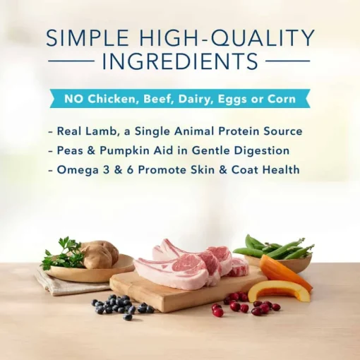 Outlet Blue Buffalo BLUE Basics Adult Skin & Stomach Care Grain-Free Lamb and Potato Recipe Large Breed Dry Dog Food