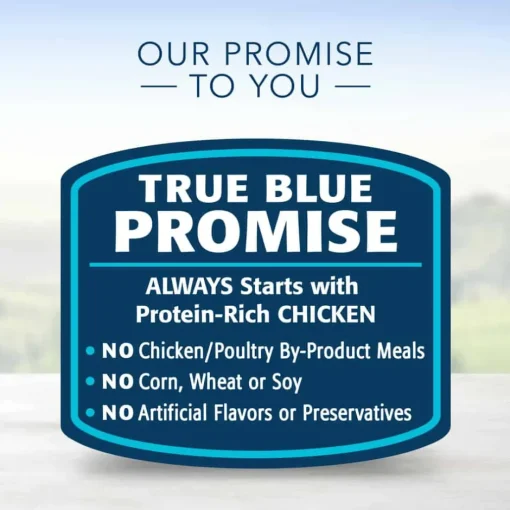 Best Blue Buffalo BLUE Life Protection Formula Blue Buffalo BLUE Family Favorite Recipes Adult Sunday Chicken Dinner Wet Dog Food