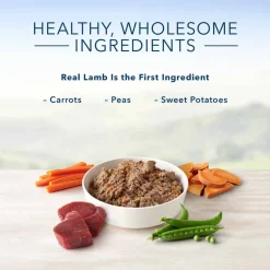 Clearance Blue Buffalo BLUE Life Protection Formula Blue Buffalo BLUE Homestyle Recipe Lamb Dinner with Garden Vegetables Wet Dog Food