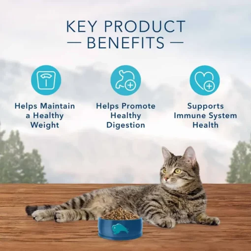 Fashion Blue Buffalo BLUE Wilderness Adult Weight Control Chicken Recipe Dry Cat Food
