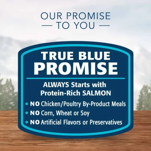 Online Blue Buffalo BLUE Wilderness Kitten Salmon Recipe Wet Cat Food