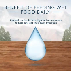 Sale Blue Buffalo BLUE Wilderness Mature Chicken Recipe Wet Cat Food