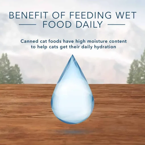 Sale Blue Buffalo BLUE Wilderness Mature Chicken Recipe Wet Cat Food