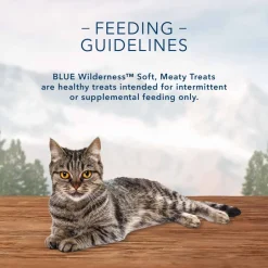 Online Blue Buffalo BLUE Wilderness Soft-Moist Chicken and Turkey Recipe Cat Treats