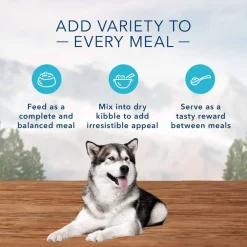 Online Blue Buffalo BLUE Wilderness Adult Chicken & Trout Grill Wet Dog Food