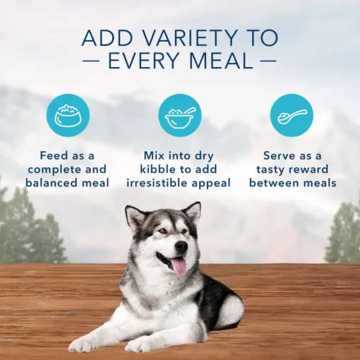 Online Blue Buffalo BLUE Wilderness Adult Chicken & Trout Grill Wet Dog Food