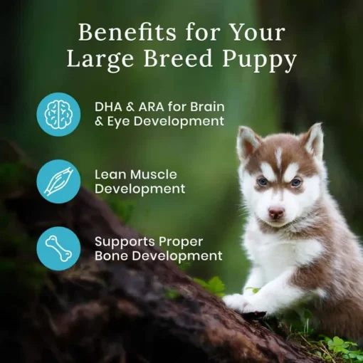 New Blue Buffalo BLUE Wilderness Large Breed Puppy Chicken with Wholesome Grains Recipe Dry Dog Food
