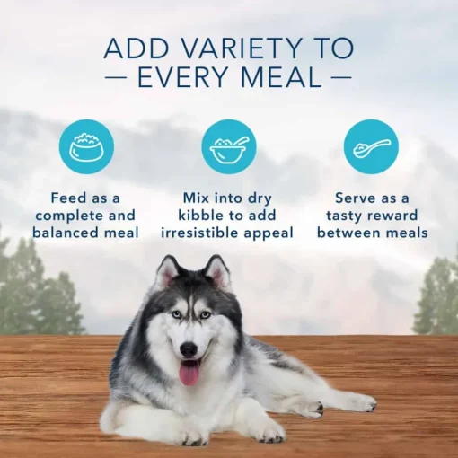 Best Blue Buffalo BLUE Wilderness Senior Rocky Mountain Recipe Red Meat Recipe Wet Dog Food