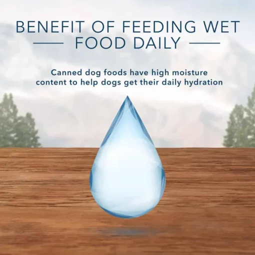 Best Blue Buffalo BLUE Wilderness Senior Rocky Mountain Recipe Red Meat Recipe Wet Dog Food