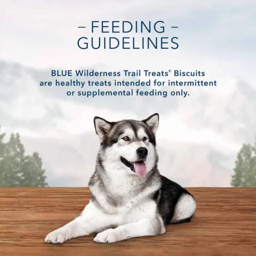 Sale Blue Buffalo BLUE Wilderness Trail Treats High Protein Turkey Biscuits Crunchy Dog Treats