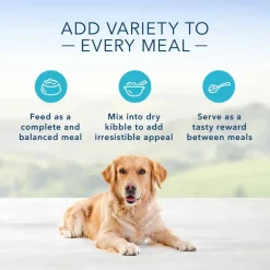New Blue Buffalo BLUE Life Protection Formula Blue Buffalo Blue's Stew Hearty Beef Stew Wet Dog Food