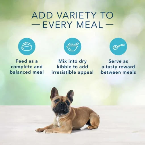 New Blue Buffalo BLUE Freedom Blue Buffalo Freedom Small Breed Grain-Free Chicken Recipe Adult Wet Dog Food