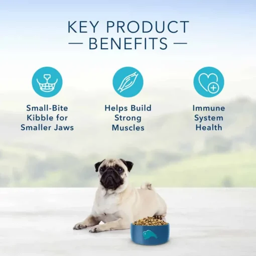 Online Blue Buffalo BLUE Life Protection Formula Blue Buffalo Life Protection Formula Adult Small Bite Chicken & Brown Rice Recipe Dry Dog Food