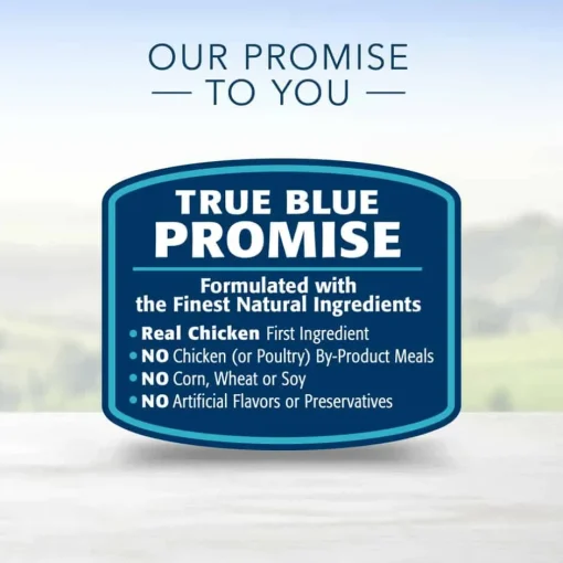 Online Blue Buffalo BLUE Life Protection Formula Blue Buffalo Life Protection Formula Adult Small Bite Chicken & Brown Rice Recipe Dry Dog Food